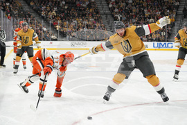 Ducks Golden Knights Hockey