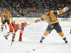 Ducks Golden Knights Hockey