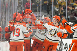 Ducks Golden Knights Hockey