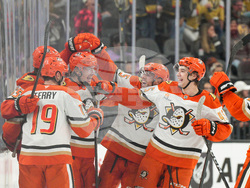 Ducks Golden Knights Hockey