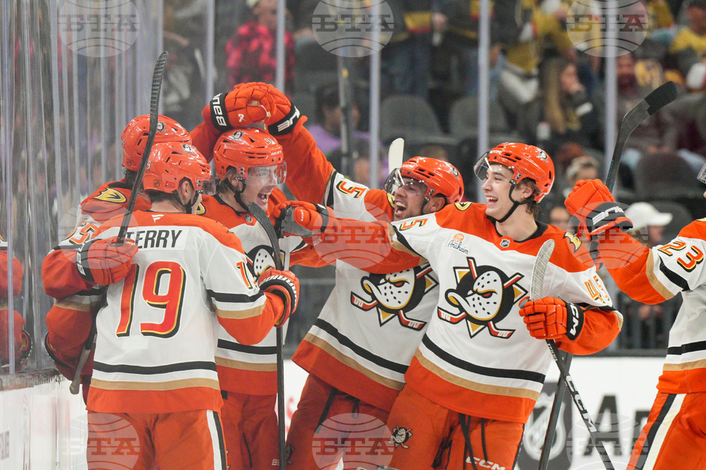 Ducks Golden Knights Hockey