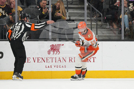 Ducks Golden Knights Hockey