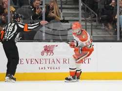 Ducks Golden Knights Hockey