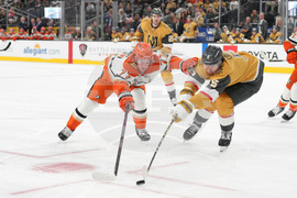 Ducks Golden Knights Hockey