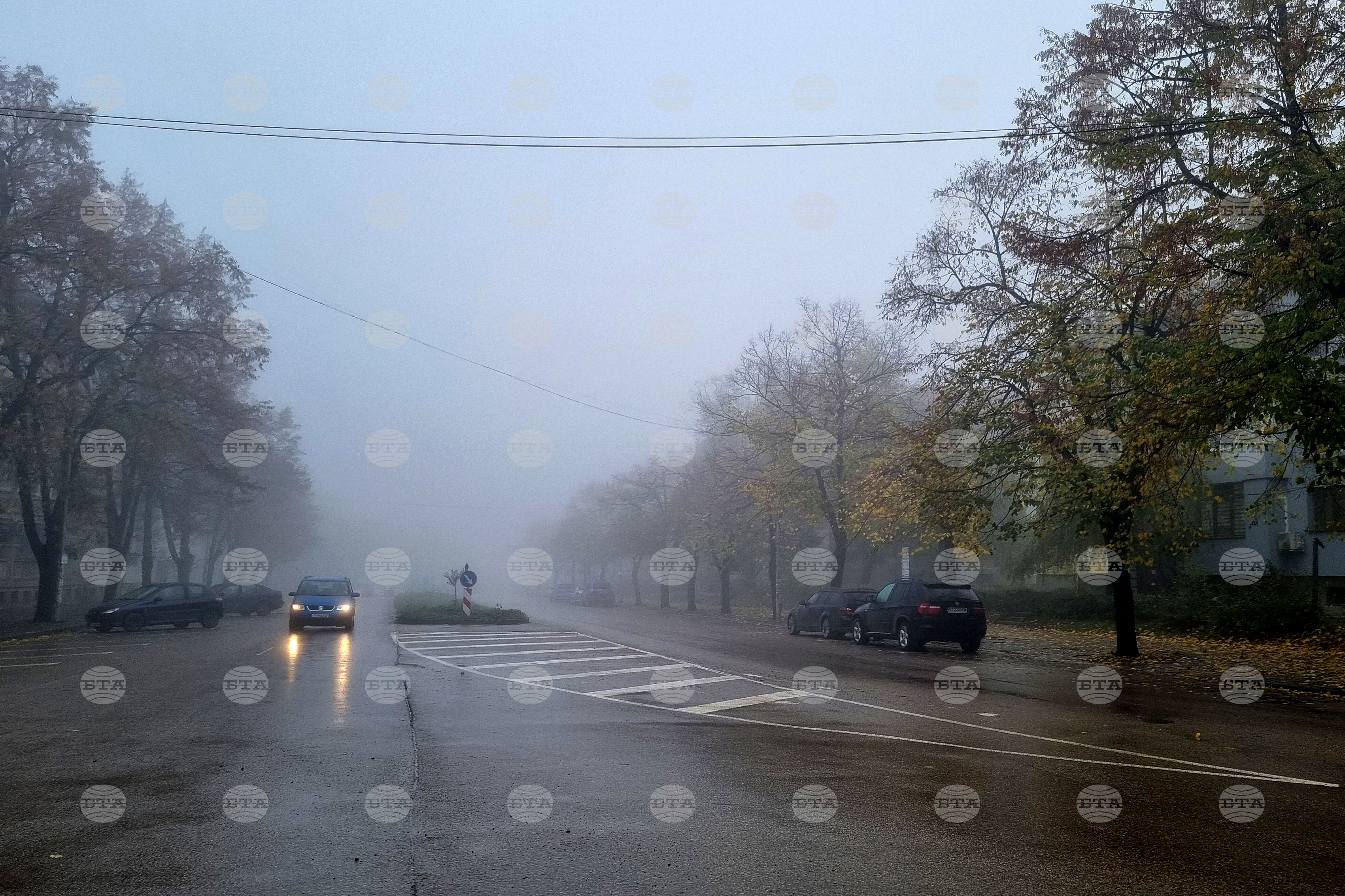 Момиче на 18 години загина при катастрофа край варненското село Казашко