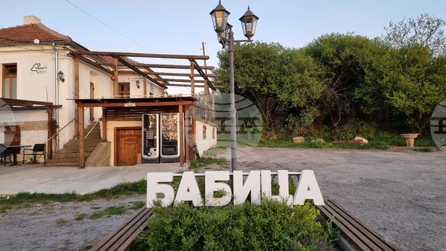 Доброволци ще засадят "Гора на спомените" край брезнишкото село Бабица в памет на български деца