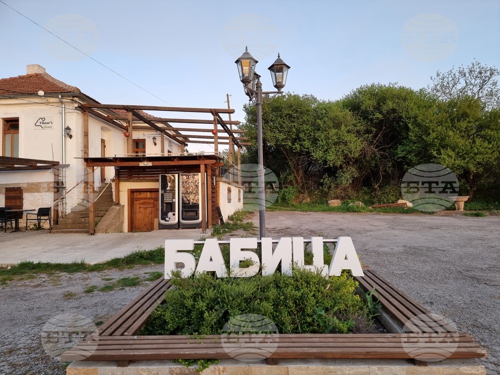 Доброволци ще засадят "Гора на спомените" край брезнишкото село Бабица в памет на български деца