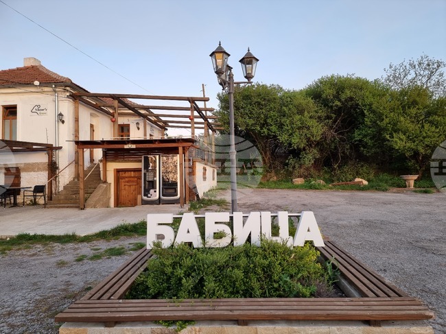 Доброволци ще засадят "Гора на спомените" край брезнишкото село Бабица в памет на български деца