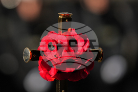 Britain Remembrance Day