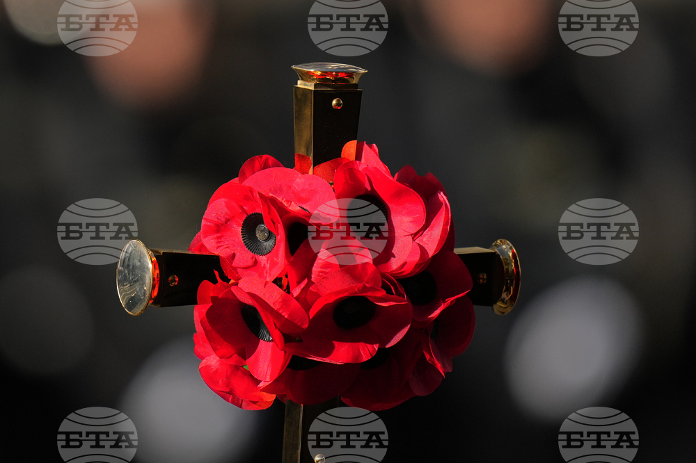 Britain Remembrance Day