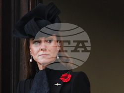 Britain Remembrance Day