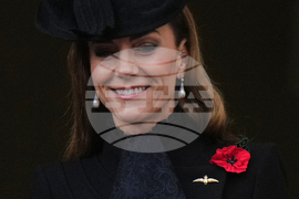 Britain Remembrance Day