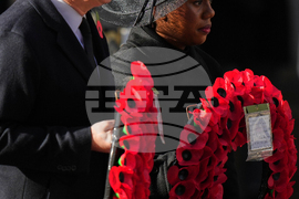 Britain Remembrance Day