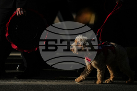 Britain Remembrance Day