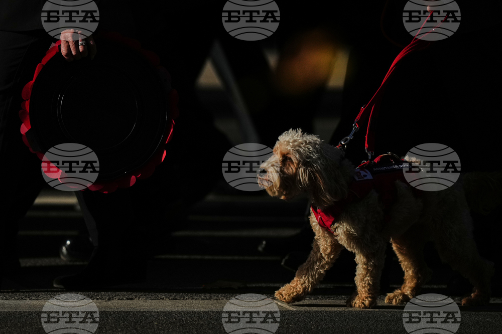 Britain Remembrance Day