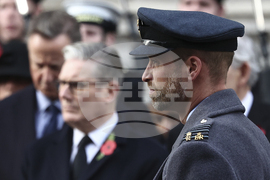 Britain Remembrance Day