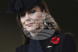 Britain Remembrance Day