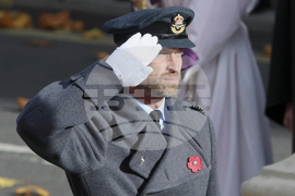 Britain Remembrance Day