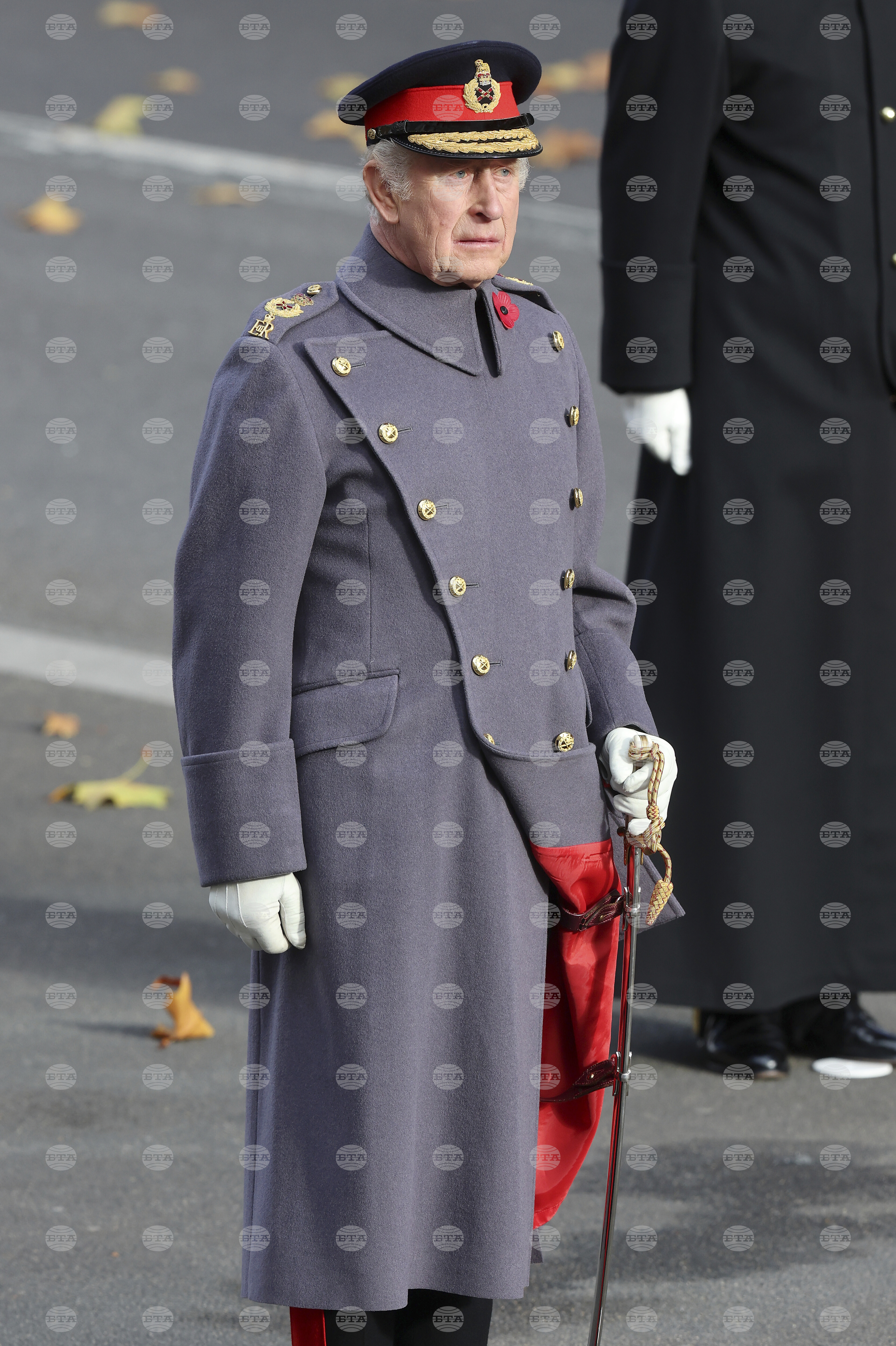 Britain Remembrance Day