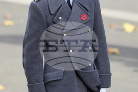 Britain Remembrance Day