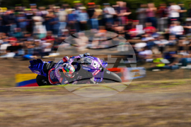 Portugal Motorcycle Grand Prix