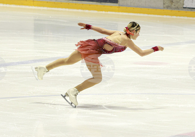 Фигурно пързаляне - Турнир „Денкова-Стависки“