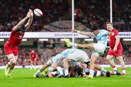 Britain Rugby Wales Argentina