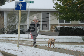 Winter Weather Illinois