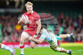 Britain Rugby Wales Argentina