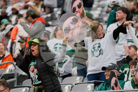 Browns Jets Football