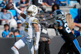 APTOPIX Saints Panthers Football