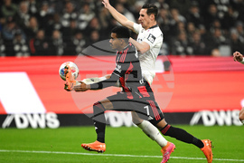 Germany Soccer Bundesliga