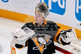 Kings Penguins Hockey