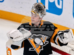 Kings Penguins Hockey