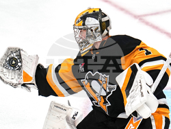 Kings Penguins Hockey