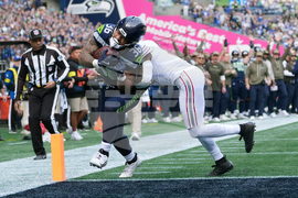 APTOPIX Cardinals Seahawks Football