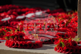 Britain Remembrance Day