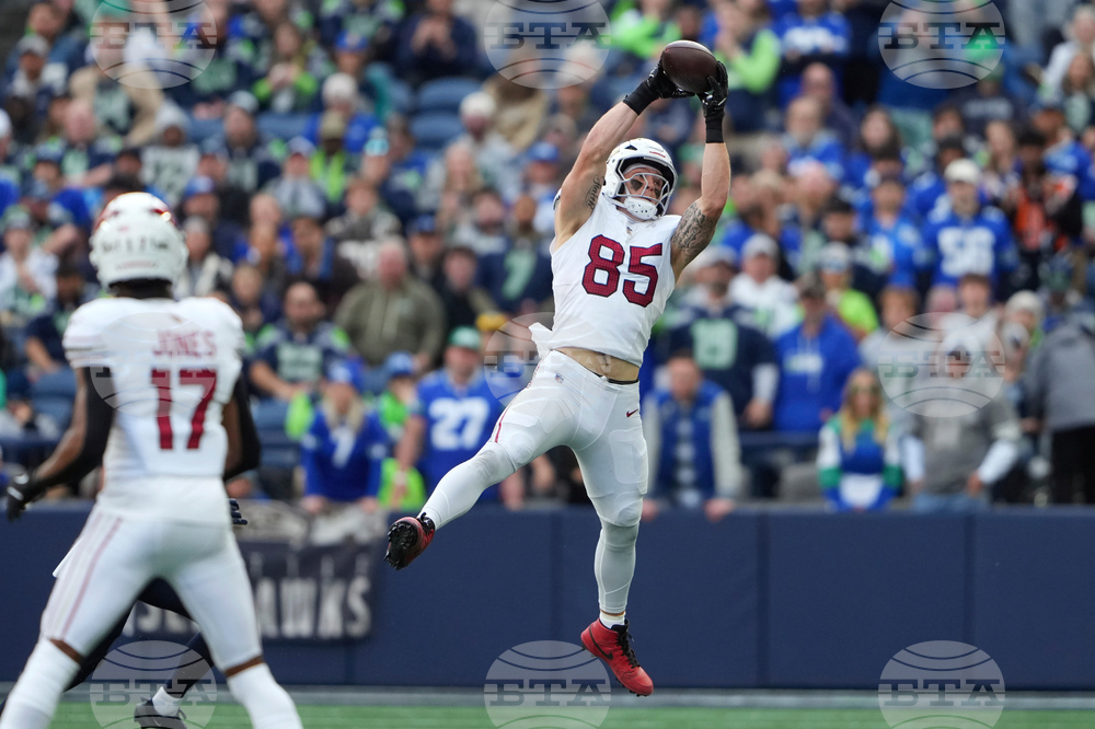 Cardinals Seahawks Football