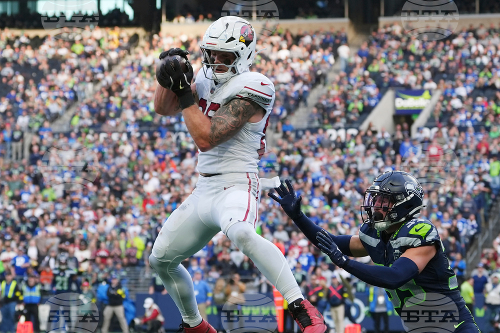Cardinals Seahawks Football