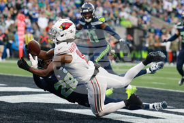 APTOPIX Cardinals Seahawks Football