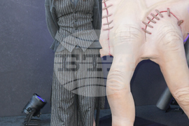 "Wednesday" FYC Event