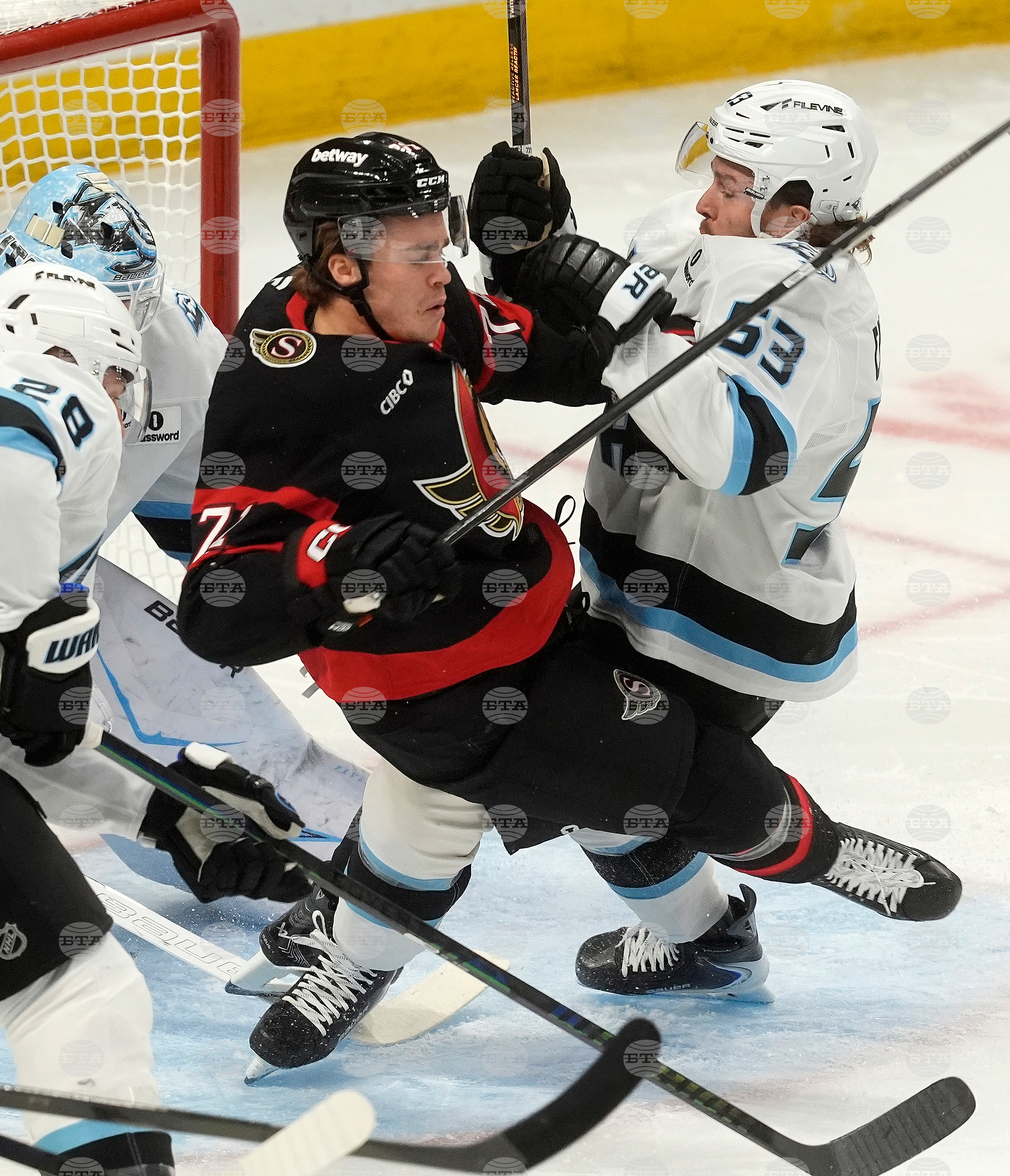 Senators Mammoth Hockey