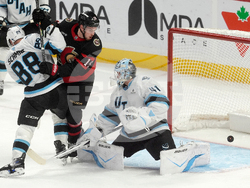 Senators Mammoth Hockey