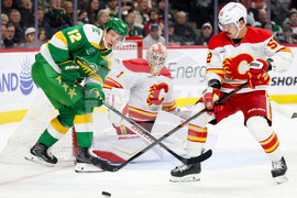 Flames Wild Hockey