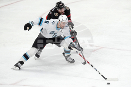 Senators Mammoth Hockey