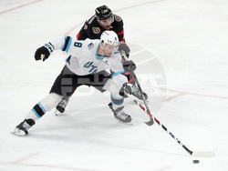 Senators Mammoth Hockey