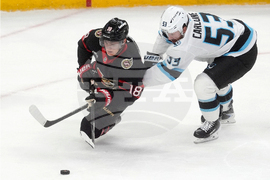 Senators Mammoth Hockey