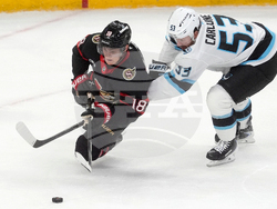 Senators Mammoth Hockey