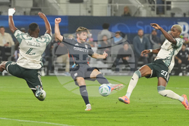 MLS Timbers San Diego Soccer