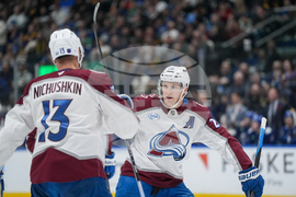 Avalanche Canucks Hockey